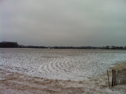 Snowy Field, Cloudy Morning